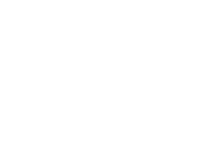 Stela Connection