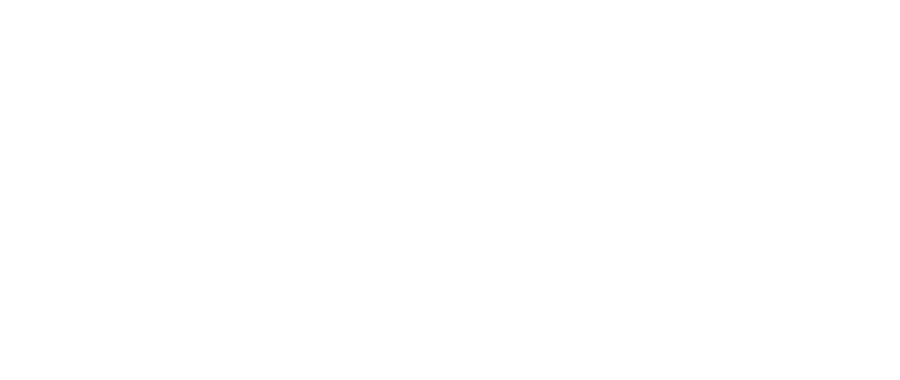 Stela Connection